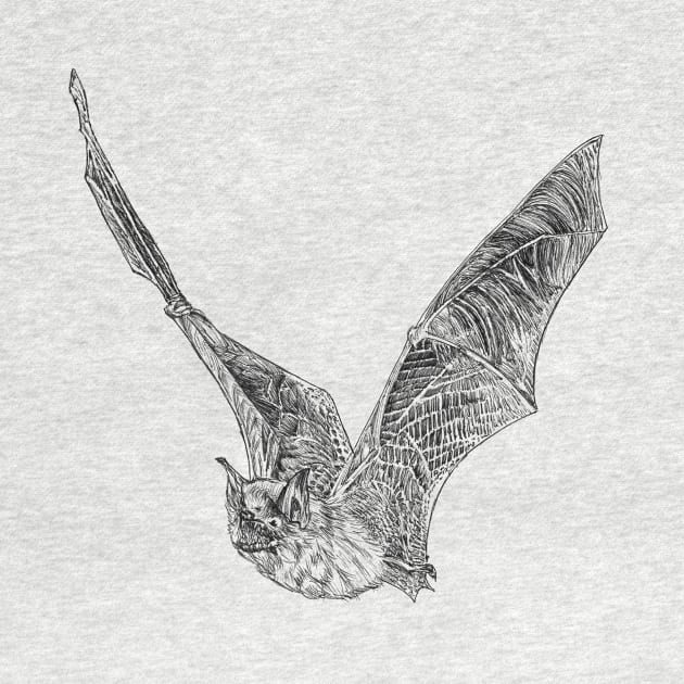 Bat scientific nature black ink pen drawing illustration by DamiansART